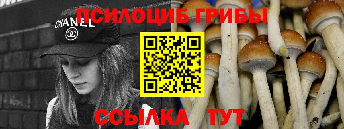 Галлюциногенные грибы GOLDEN TEACHER Ейск