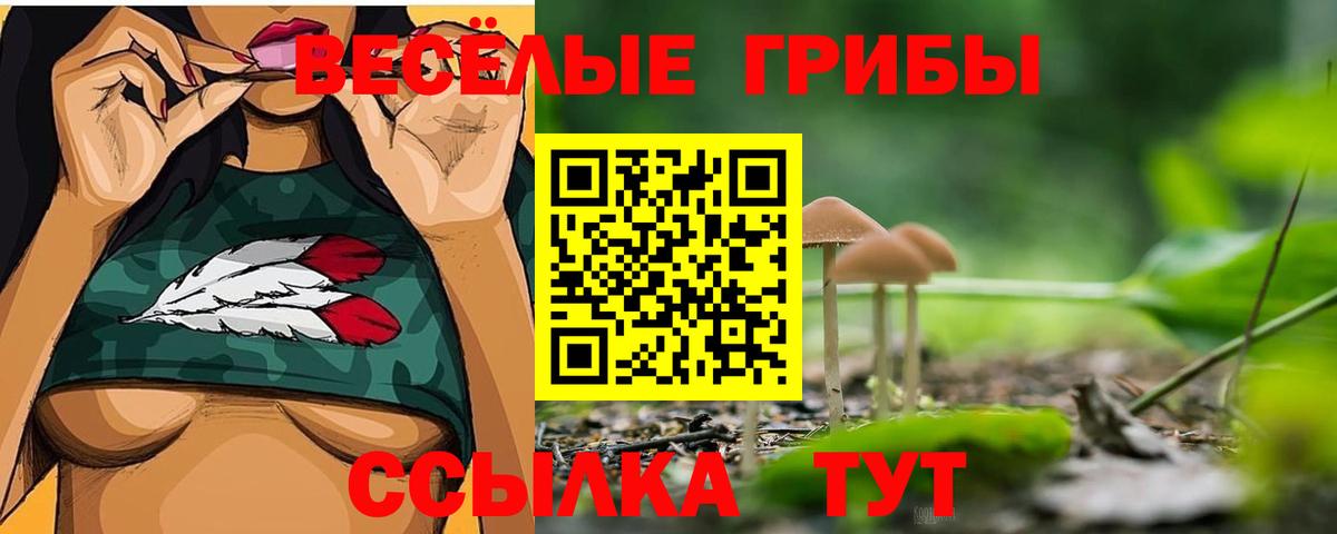 Ейск  Галлюциногенные грибы MAGIC MUSHROOMS  Галлюциногенные грибы Cubensis  Вход с VPN 